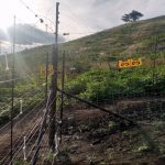 Kasindi : les tensions s&rsquo;apaisent progressivement entre le PNVi et les agriculteurs